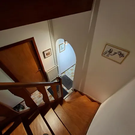 Feel At In * Левен