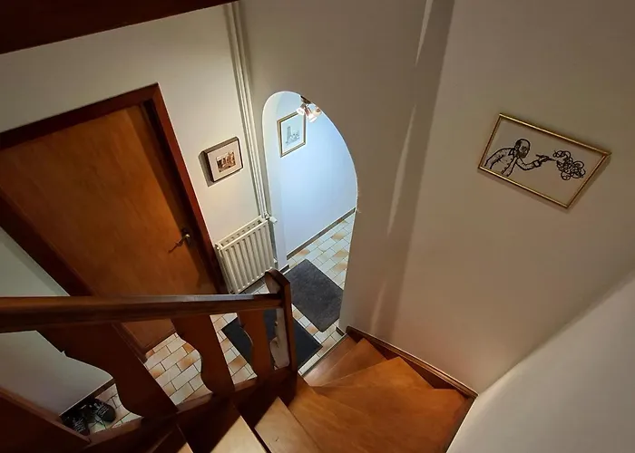 Feel At In * Левен